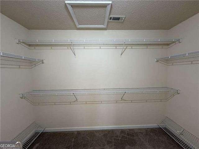 walk in closet with carpet and visible vents