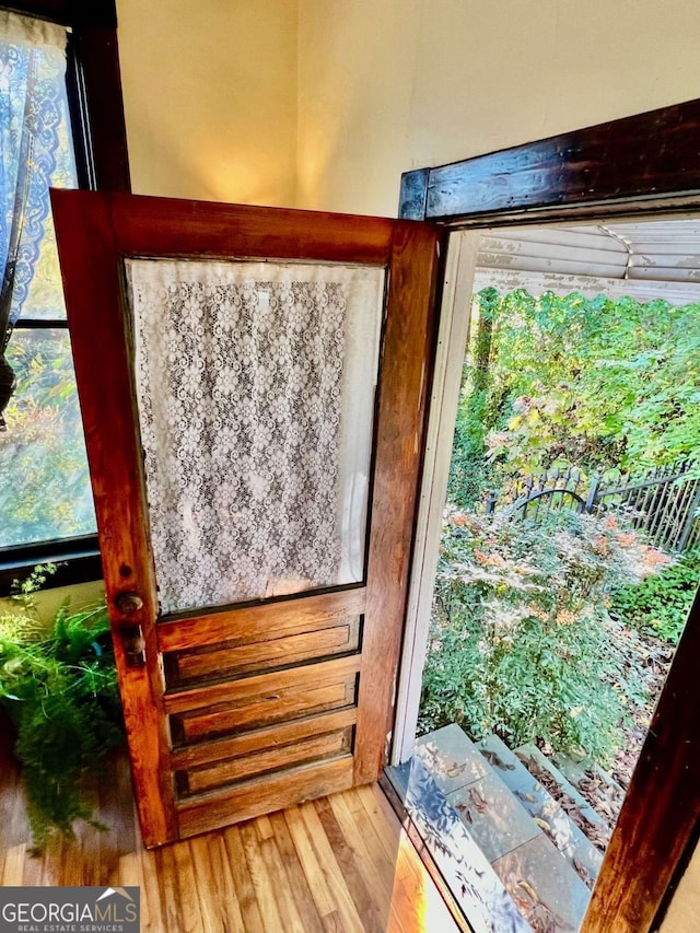 entryway with plenty of natural light and wood finished floors