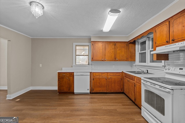 kitchen with white appliances, under cabinet range hood, brown cabinets, and light countertops