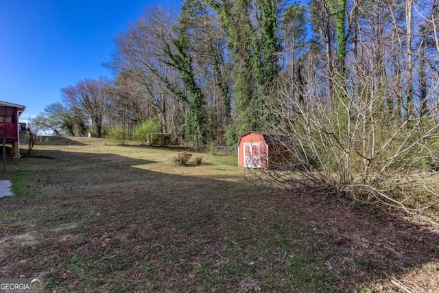 view of yard featuring an outdoor structure and a storage unit