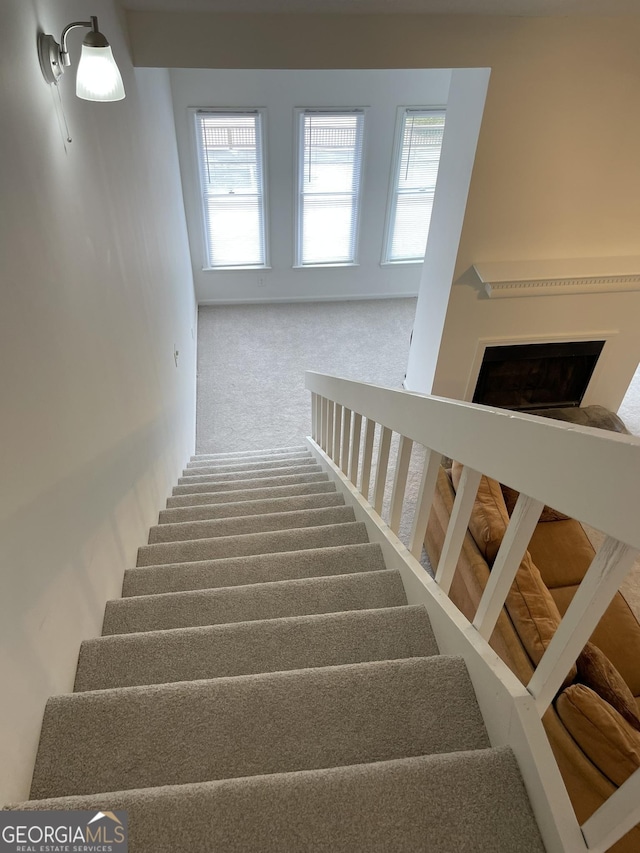 stairs featuring carpet floors