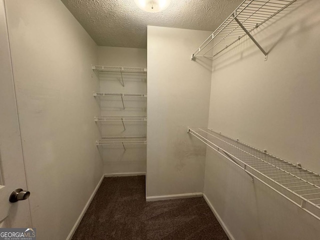 walk in closet with carpet