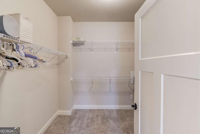 walk in closet with carpet flooring