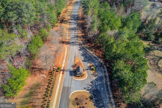 aerial view