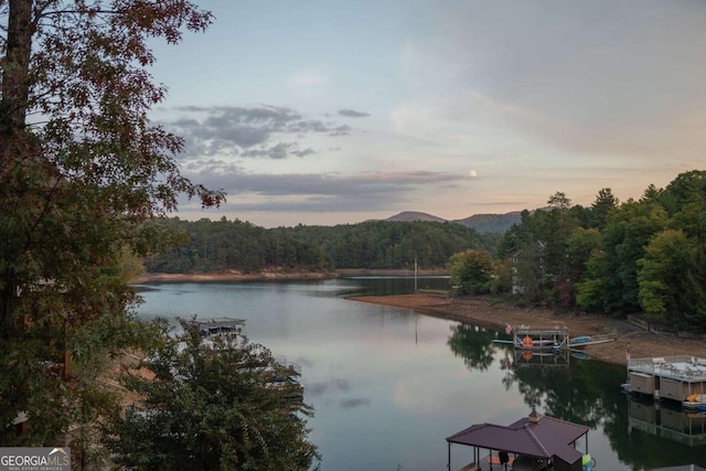 property view of water featuring a boat dock and a forest view