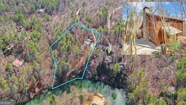 birds eye view of property featuring a view of trees