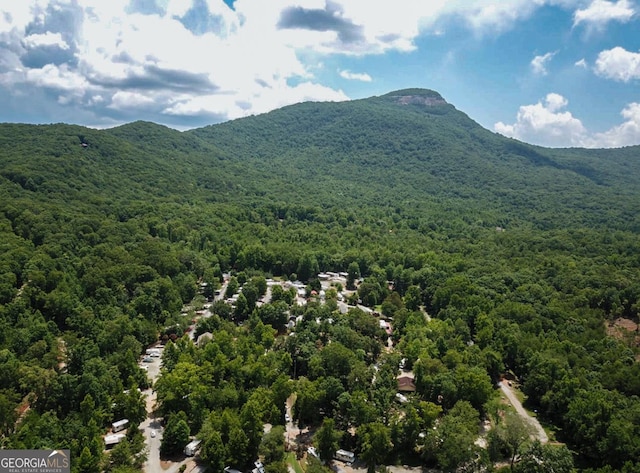 property view of mountains featuring a forest view