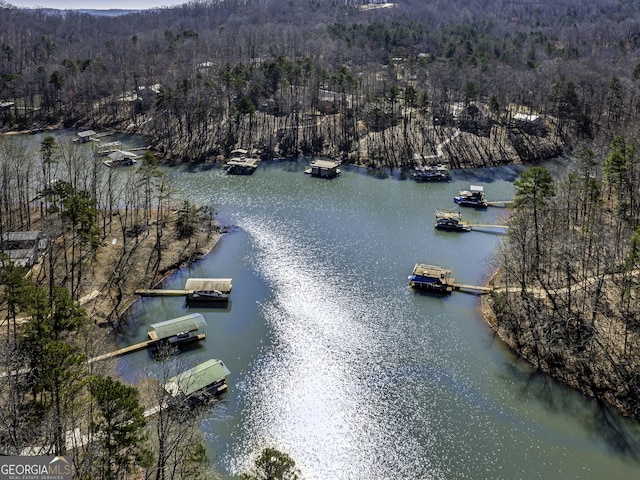 aerial view with a water view and a wooded view