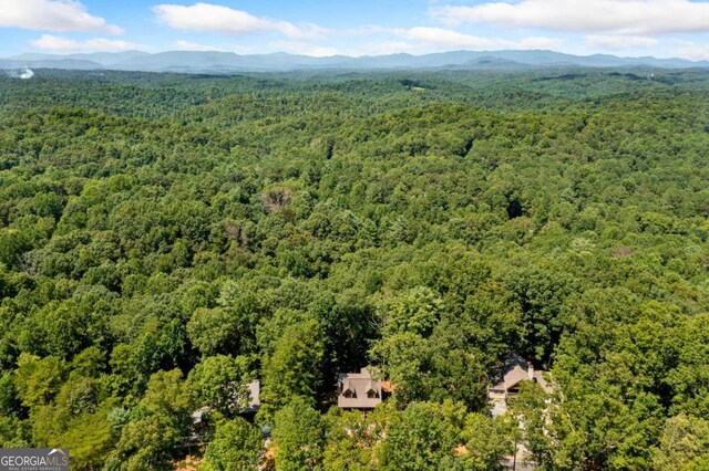 bird's eye view featuring a mountain view and a forest view