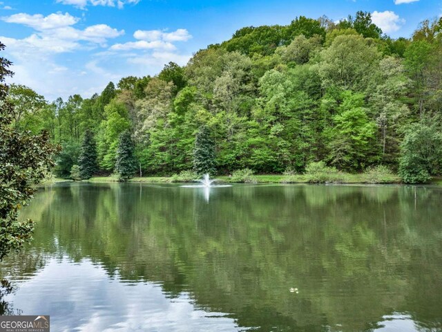 property view of water with a forest view