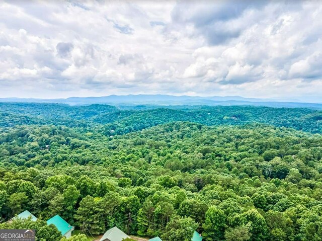 birds eye view of property featuring a mountain view and a view of trees