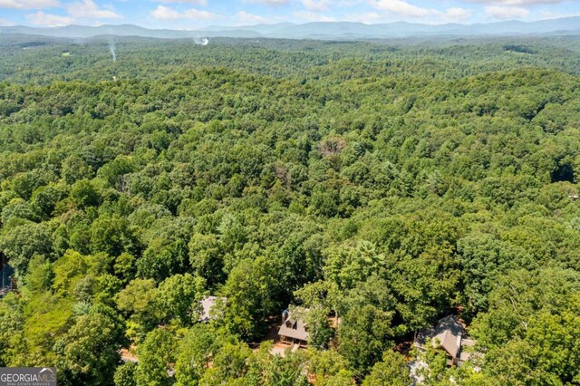 birds eye view of property with a forest view and a mountain view