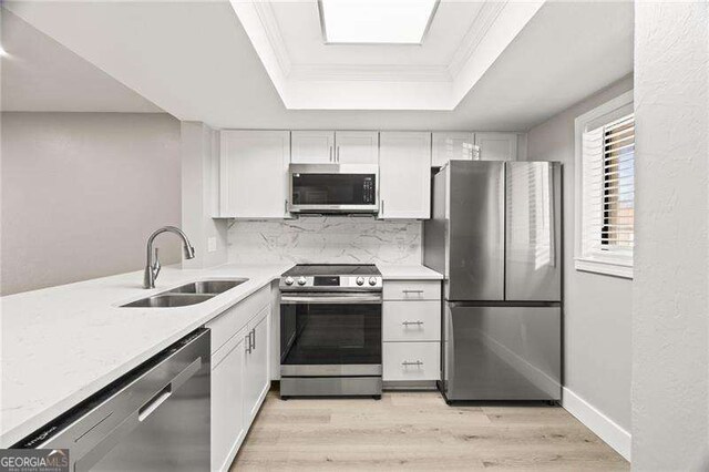 kitchen featuring appliances with stainless steel finishes, a raised ceiling, crown molding, and a sink