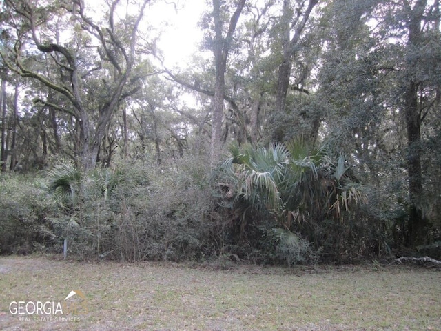 V/L1005 103 Doubloon Ct, Saint Marys GA, 31558 land for sale