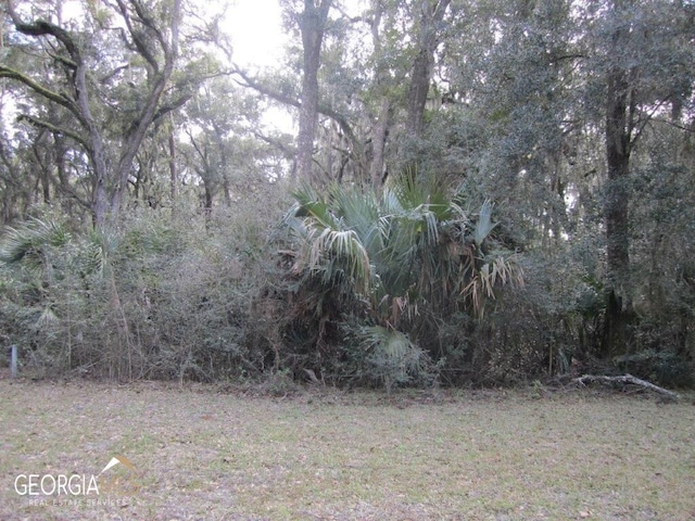 Listing photo 2 for V/L1005 103 Doubloon Ct, Saint Marys GA 31558