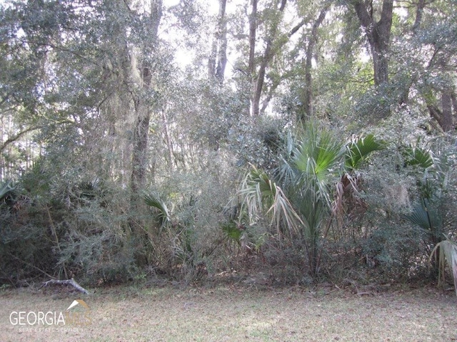 Listing photo 3 for V/L1005 103 Doubloon Ct, Saint Marys GA 31558