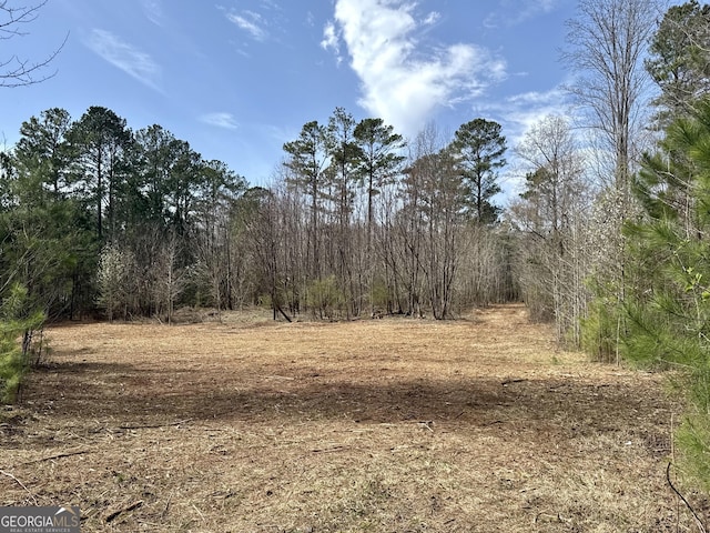 0 Inman Rd Unit 29.5, Acres, Fayetteville GA, 30215 land for sale