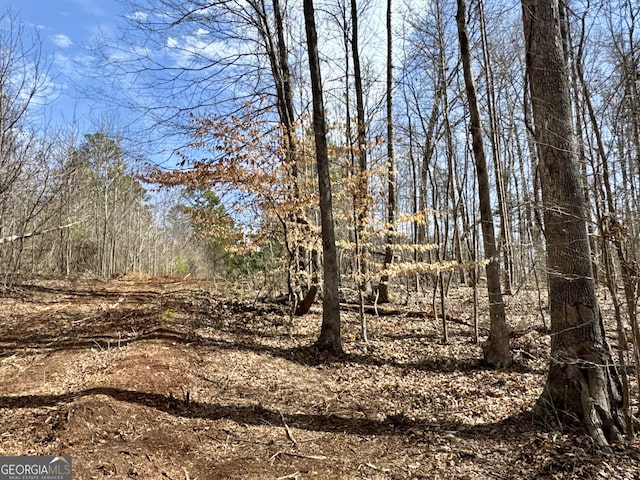 Listing photo 2 for 0 Inman Rd Unit 29.5, Acres, Fayetteville GA 30215