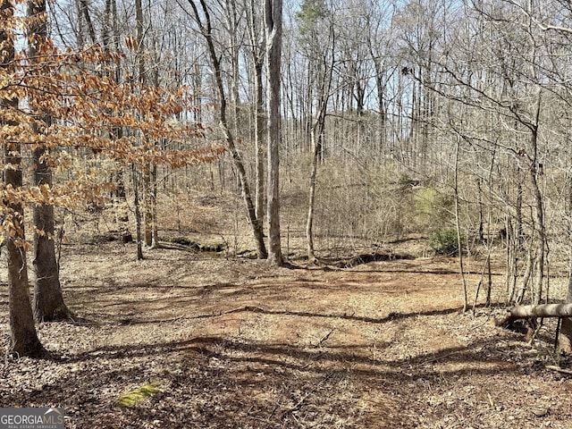 Listing photo 3 for 0 Inman Rd Unit 29.5, Acres, Fayetteville GA 30215