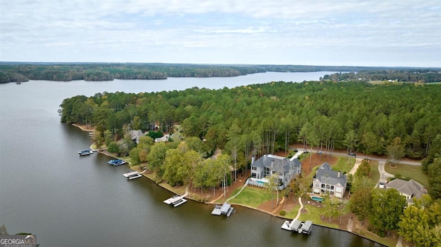 drone / aerial view featuring a water view and a view of trees