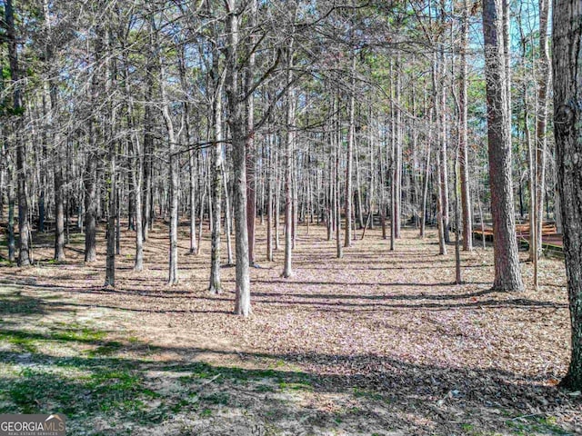 1050 Centennial Post Ln, Greensboro GA, 30642 land for sale