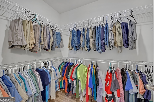 walk in closet featuring wood finished floors