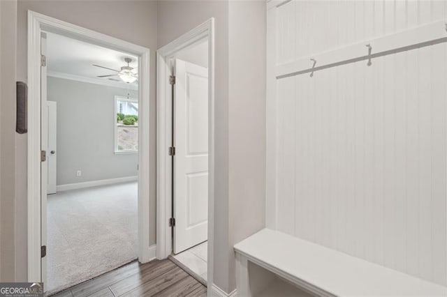 mudroom with carpet floors, crown molding, a ceiling fan, wood finished floors, and baseboards