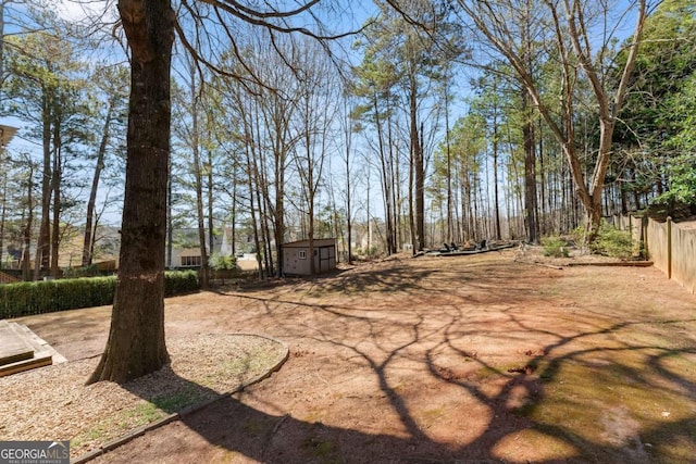 view of yard with a storage unit, an outdoor structure, and fence