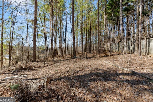 view of local wilderness