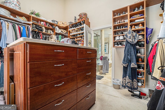 spacious closet featuring carpet