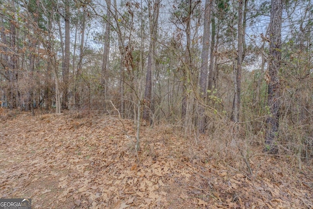 LOT90 Goldeneye Ct, Monticello GA, 31064 land for sale