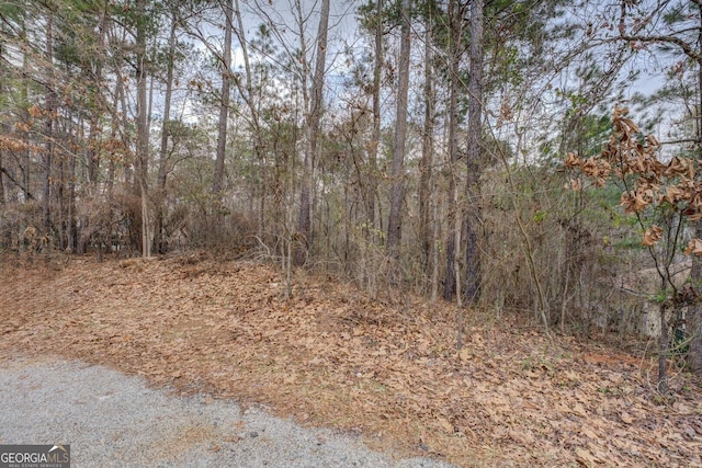 Listing photo 2 for LOT90 Goldeneye Ct, Monticello GA 31064