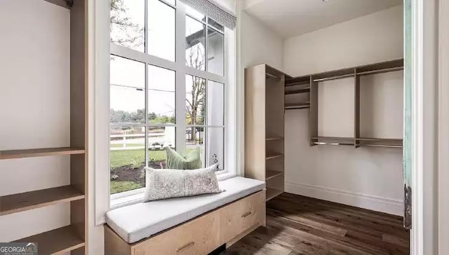 spacious closet featuring dark wood-style flooring