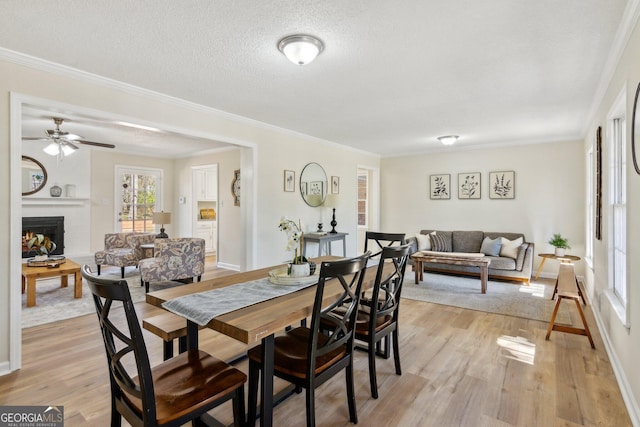 dining space with light wood-type flooring, a fireplace, and ornamental molding