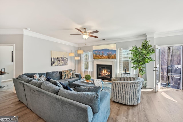 living area featuring a healthy amount of sunlight, wood finished floors, and a glass covered fireplace