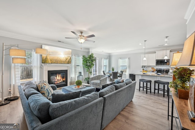 living area with light wood-type flooring, ornamental molding, a wealth of natural light, and a glass covered fireplace