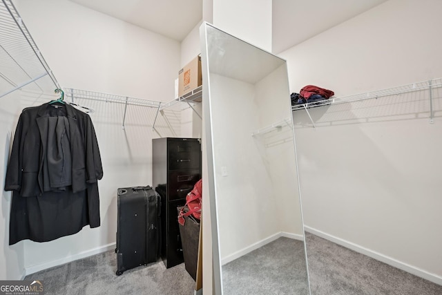 spacious closet featuring carpet floors