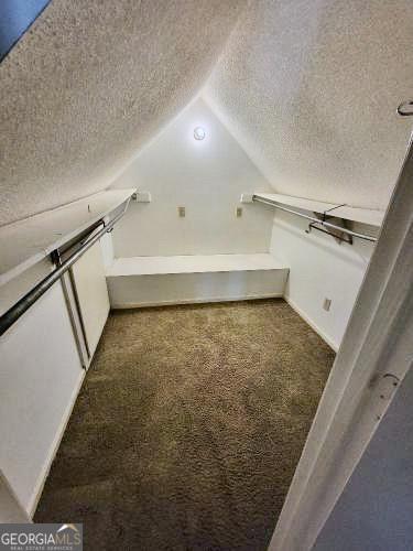 spacious closet featuring lofted ceiling and carpet