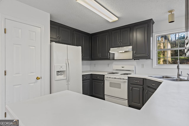 kitchen with under cabinet range hood, a sink, a textured ceiling, white appliances, and light countertops