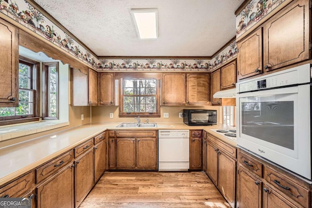 kitchen featuring white appliances, a healthy amount of sunlight, a sink, and brown cabinets