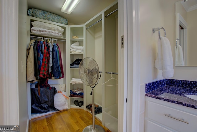 spacious closet with a sink and wood finished floors