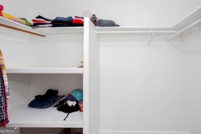 view of spacious closet