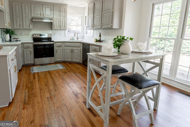 kitchen with light wood-style flooring, under cabinet range hood, gray cabinetry, visible vents, and appliances with stainless steel finishes