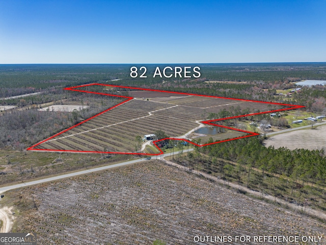 0 Valdosta Hwy, Manor GA, 31550 land for sale