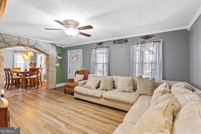 living area featuring crown molding, a textured ceiling, arched walkways, and wood finished floors