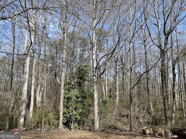 view of nature with a forest view