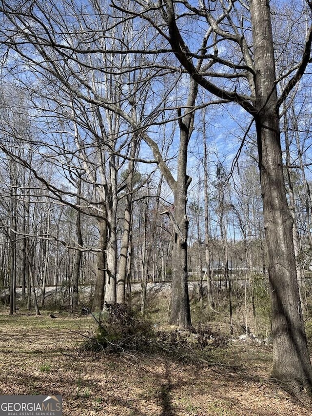 view of local wilderness