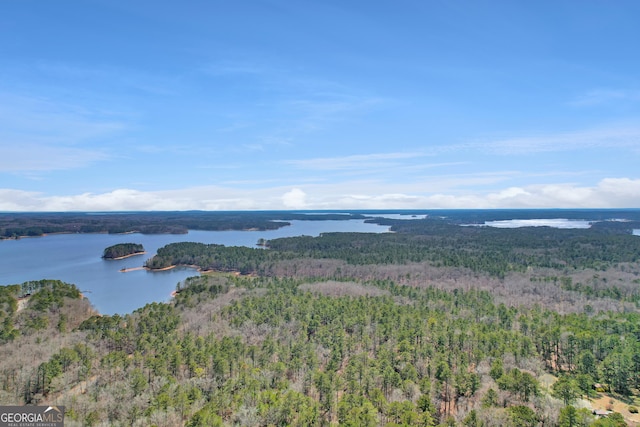 49 Thompson Rd, Lagrange, GA 30240 - bird's eye view of a heavily wooded area and a nearby body of water