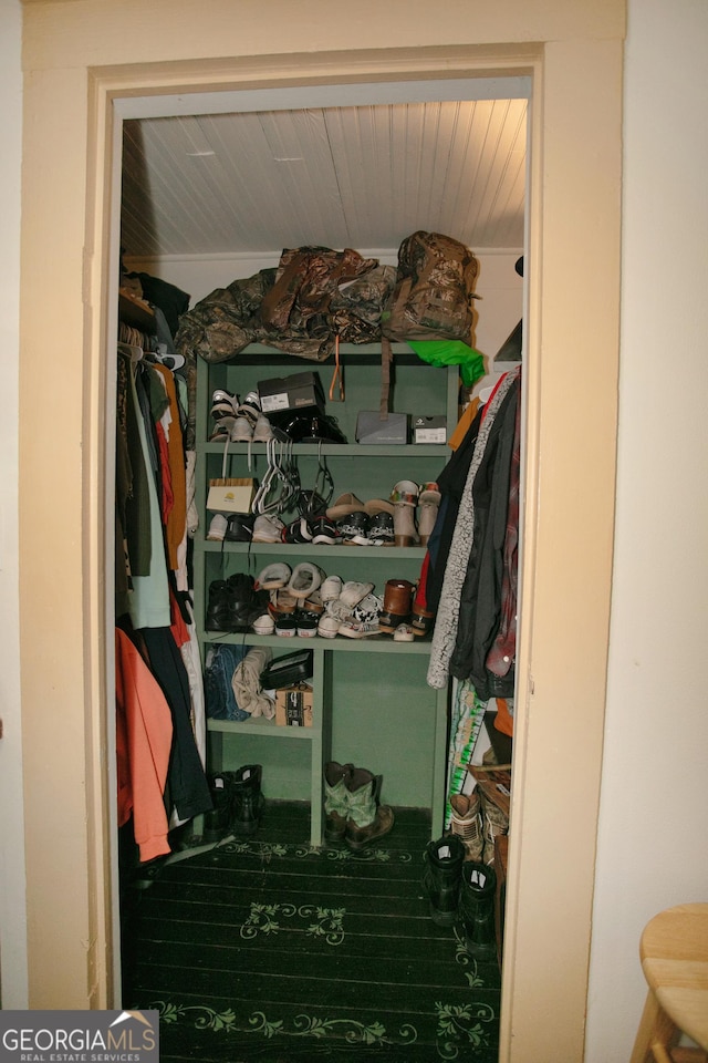 view of walk in closet