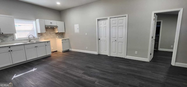 kitchen featuring under cabinet range hood, dark wood-type flooring, a sink, baseboards, and tasteful backsplash